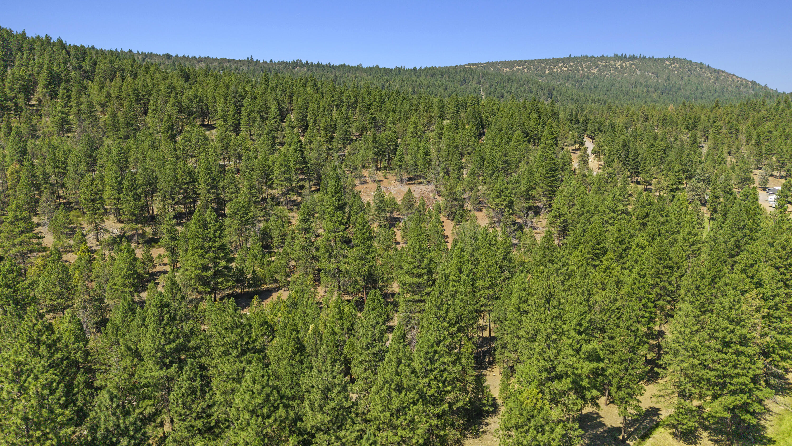 0 Simpson Canyon Road, Unit 15 Klamath Falls, OR 97601 - Photo 35 of 37 a view of a large green field with lots of bushes