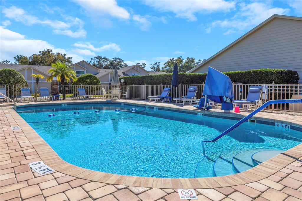 6520 Thicket Trail New Port Richey, FL 34653 - Photo 2 of 43 a view of a swimming pool with a lounge chairs