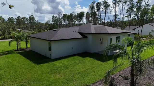 a view of a backyard with plants and a large tree