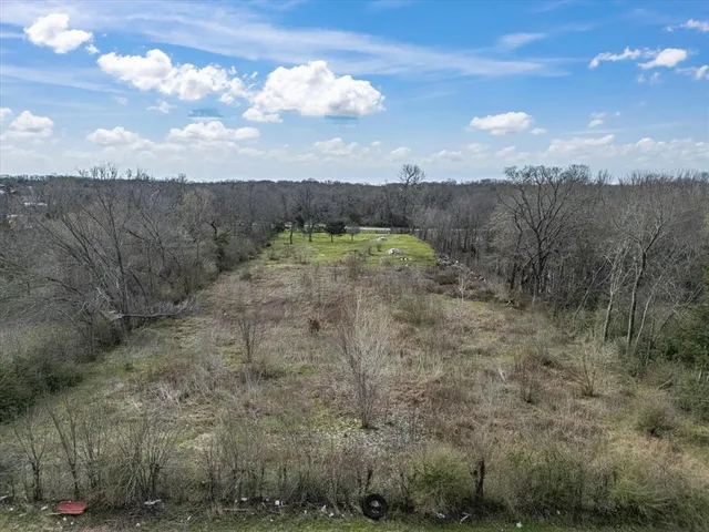 a view of a dry yard with lots of trees