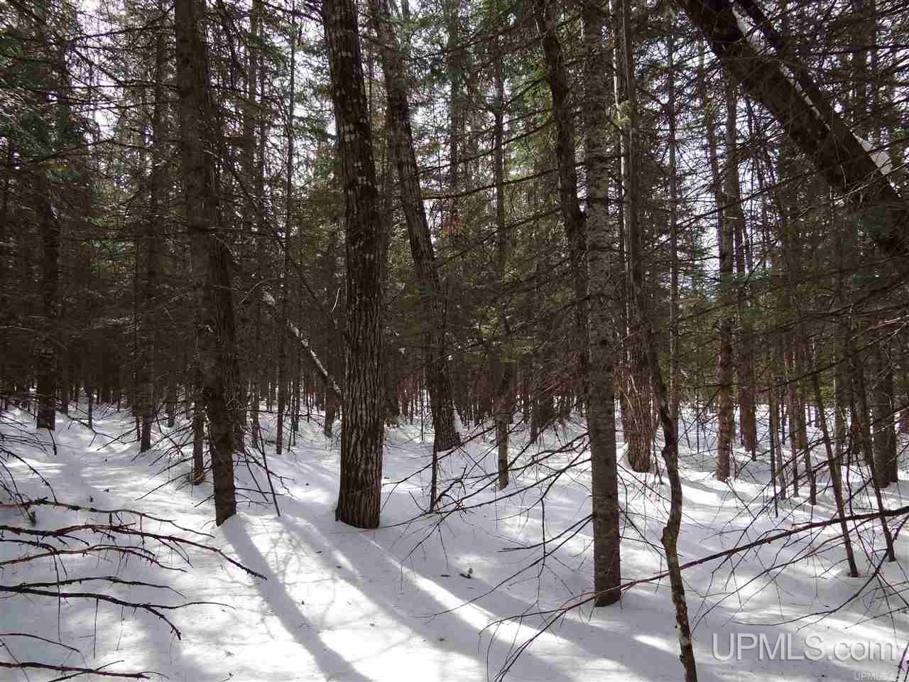 Tbd Dogpatch Road, Unit LOT A Lanse, MI 49946 - Photo 14 of 18