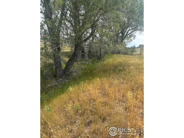 $375,000 | 124 Springs Ranch Road, Laporte, CO 80535