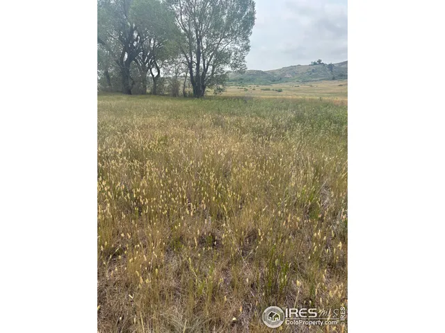 $375,000 | 124 Springs Ranch Road, Laporte, CO 80535