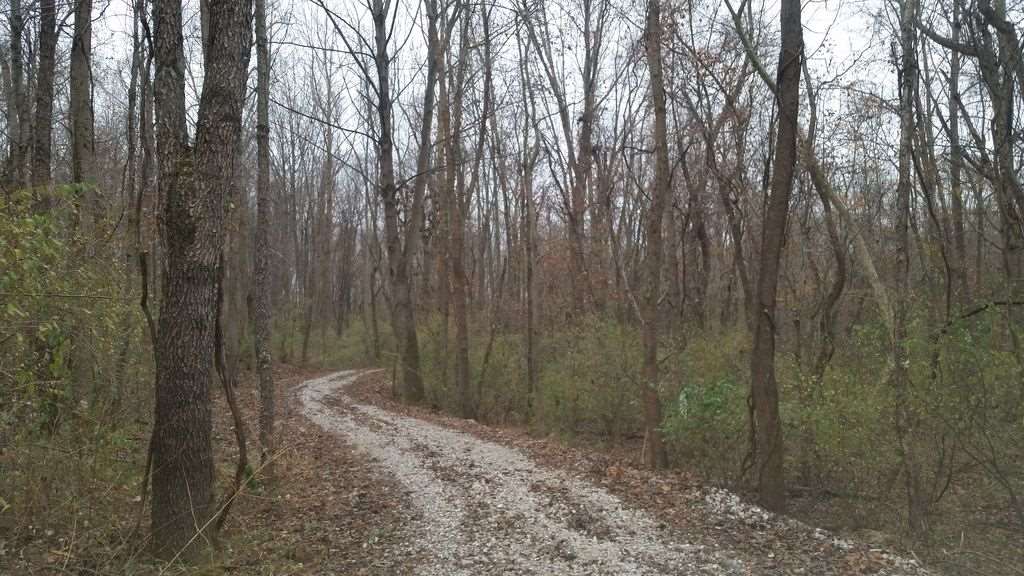 6033 Ferstel Road Newburgh, IN 47630 - Photo 4 of 8