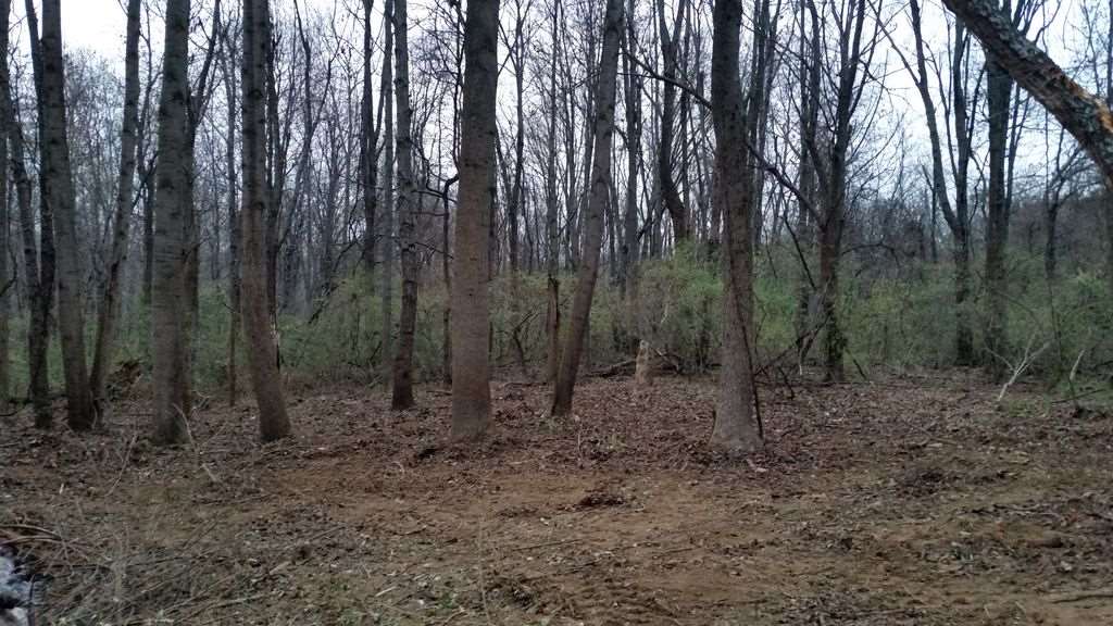 6033 Ferstel Road Newburgh, IN 47630 - Photo 6 of 8