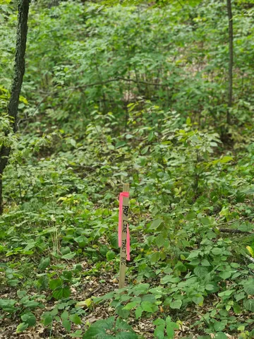 $79,900 | Tract B Richfield Road Southwest, Pillager, MN 56473