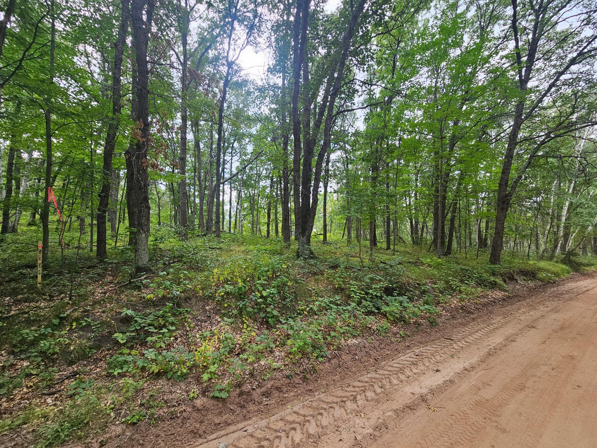 Tract B Richfield Road Southwest Pillager, MN 56473 - Photo 2 of 10