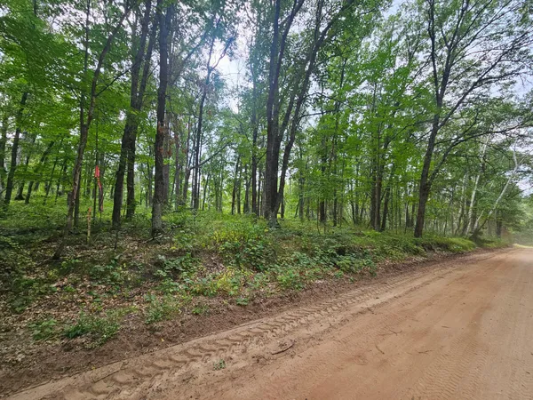 $79,900 | Tract B Richfield Road Southwest, Pillager, MN 56473