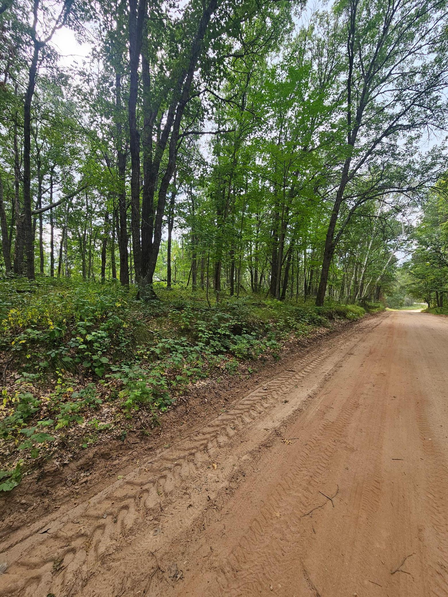 Tract B Richfield Road Southwest Pillager, MN 56473 - Photo 5 of 10