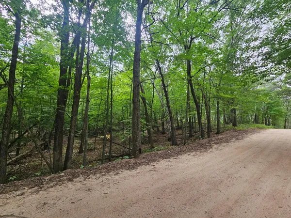 $79,900 | Tract B Richfield Road Southwest, Pillager, MN 56473
