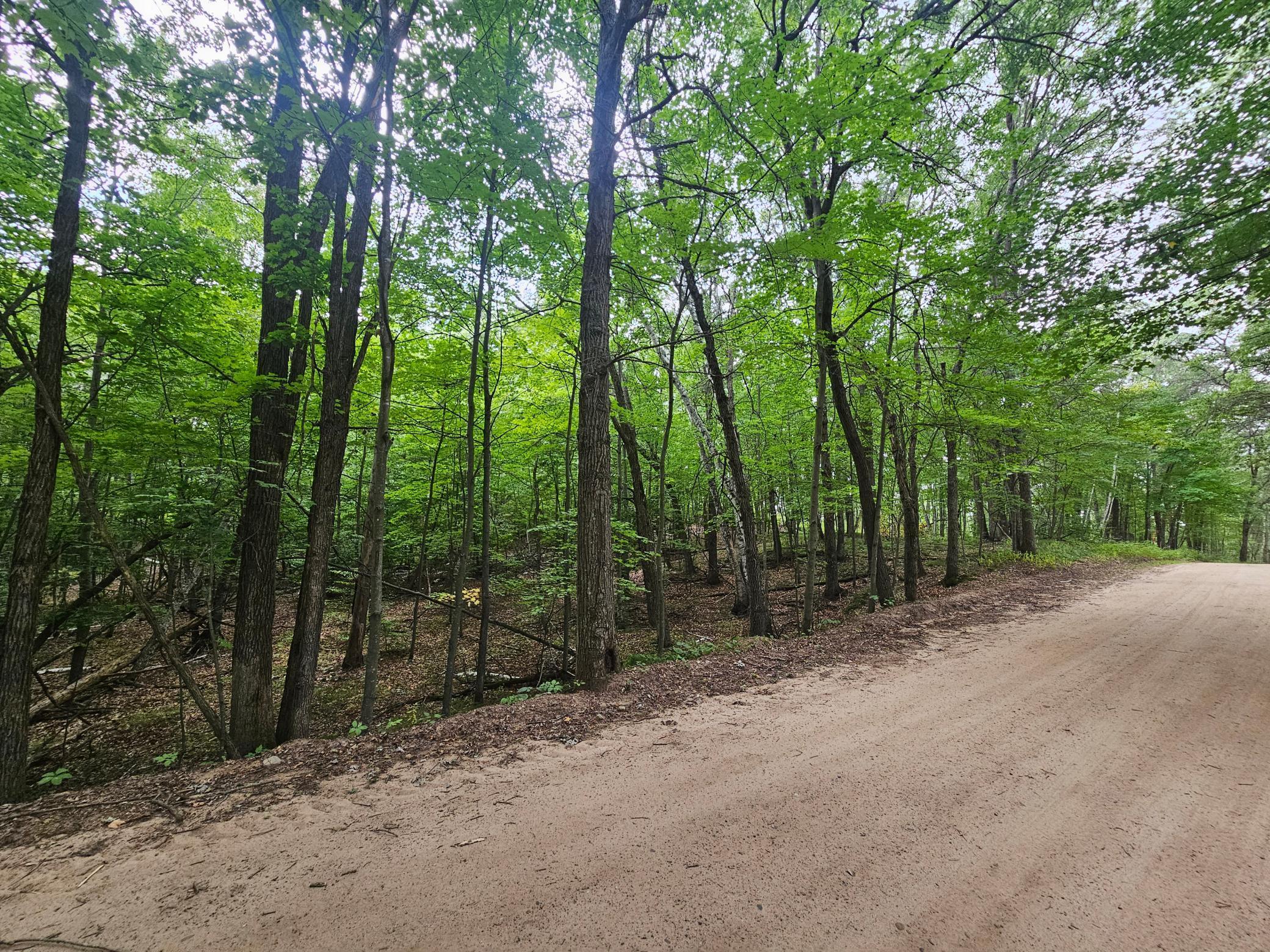 Tract B Richfield Road Southwest Pillager, MN 56473 - Photo 8 of 10