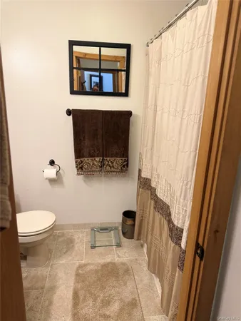 a bathroom with a toilet and a shower curtain