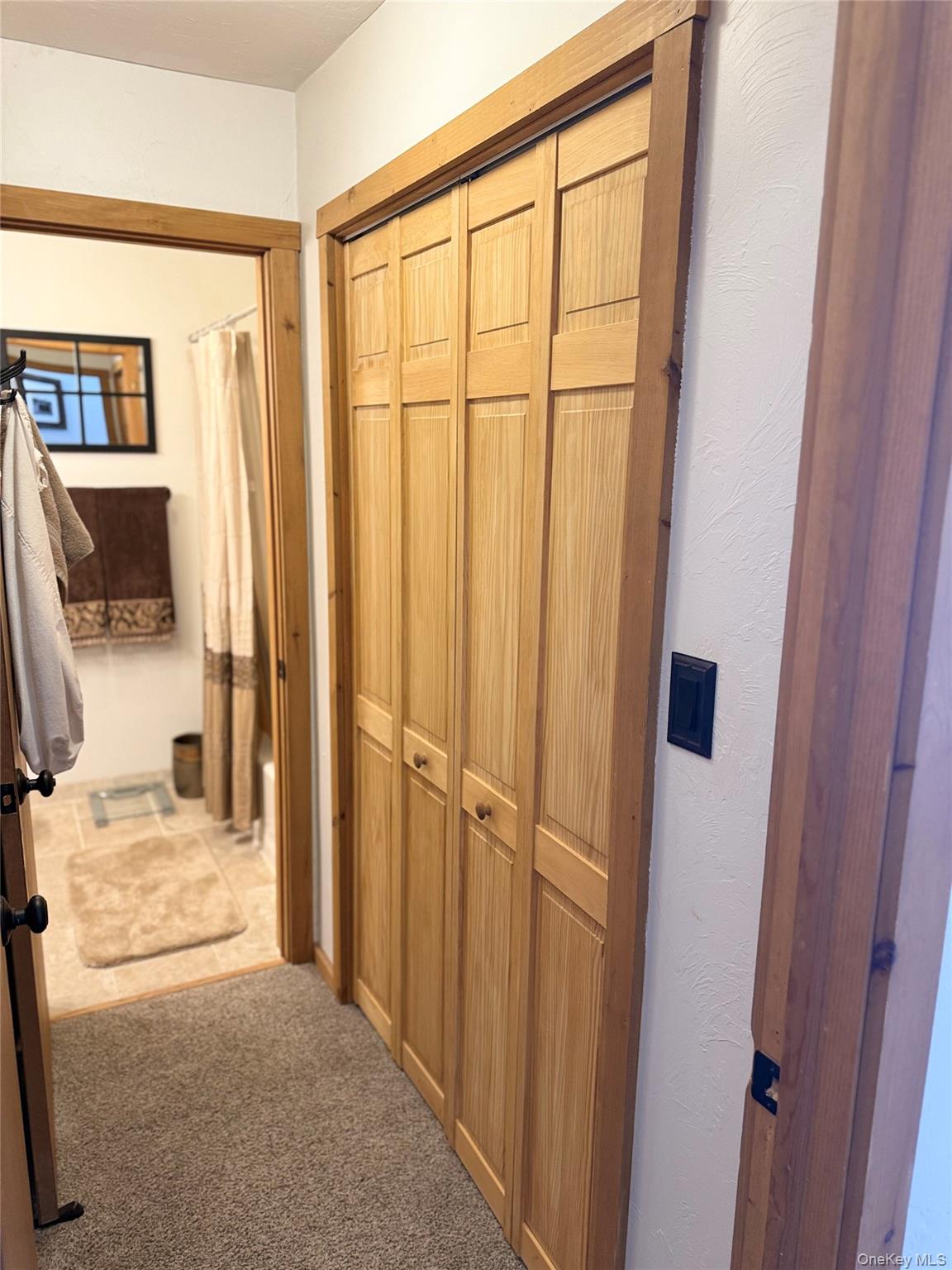 7 Quads Way Windham, NY 12496 - Photo 10 of 17