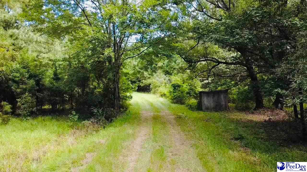 Tbd East Tbd E Friendfield Road Coward, SC 29530 - Photo 20 of 29 Gallery Image 20