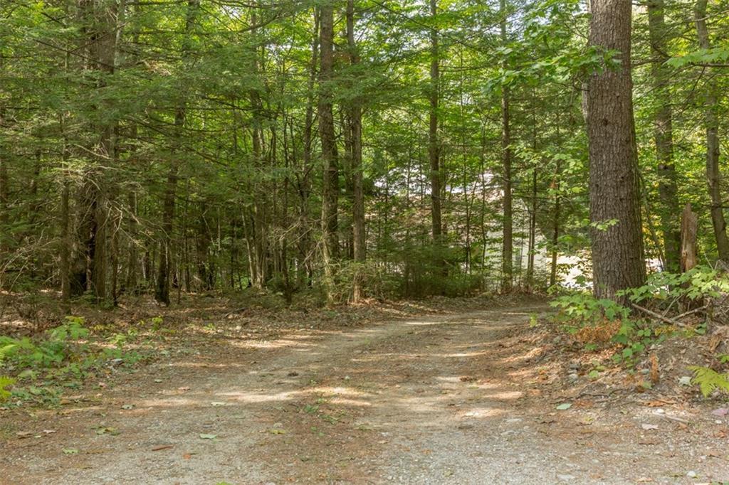 334 Gray Road Falmouth, ME 04105 - Photo 5 of 31 Photo