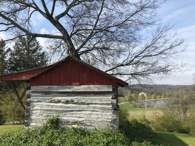 692 Pinhook Road Calhoun, TN 37309 - Photo 56 of 95 IMG_3869