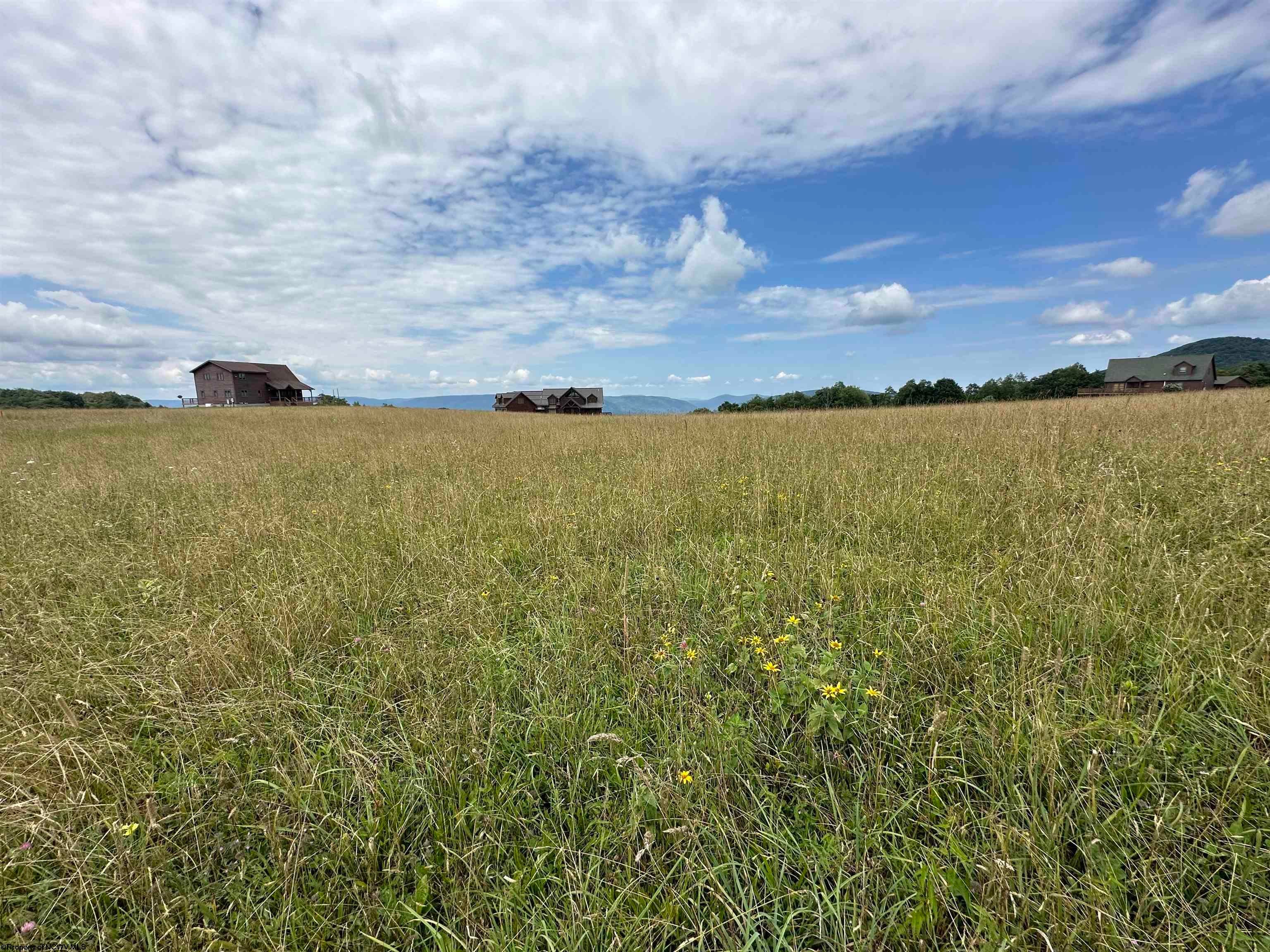 Lot 24 Pointy Knob Road Davis, WV 26260 - Photo 11 of 17 Gallery Image 11
