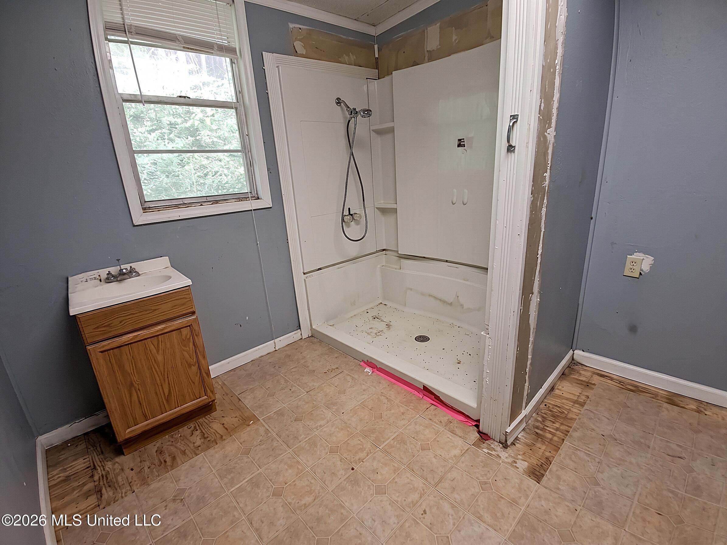 9234 Null Road Lauderdale, MS 39335 - Photo 7 of 8 (Bathroom)