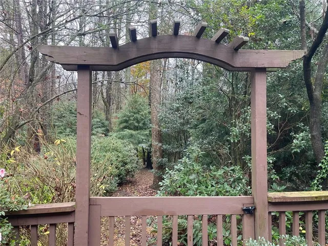 a view of backyard with plants and trees