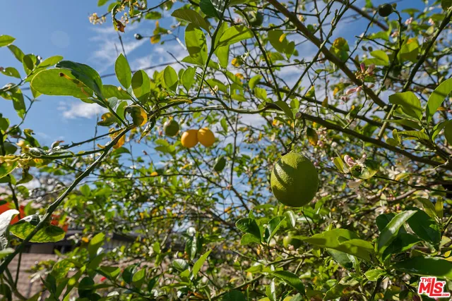 $899,000 | 22301 Leadwell Street, Canoga Park, CA 91303