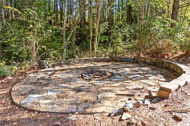 a view of a yard with plants and trees