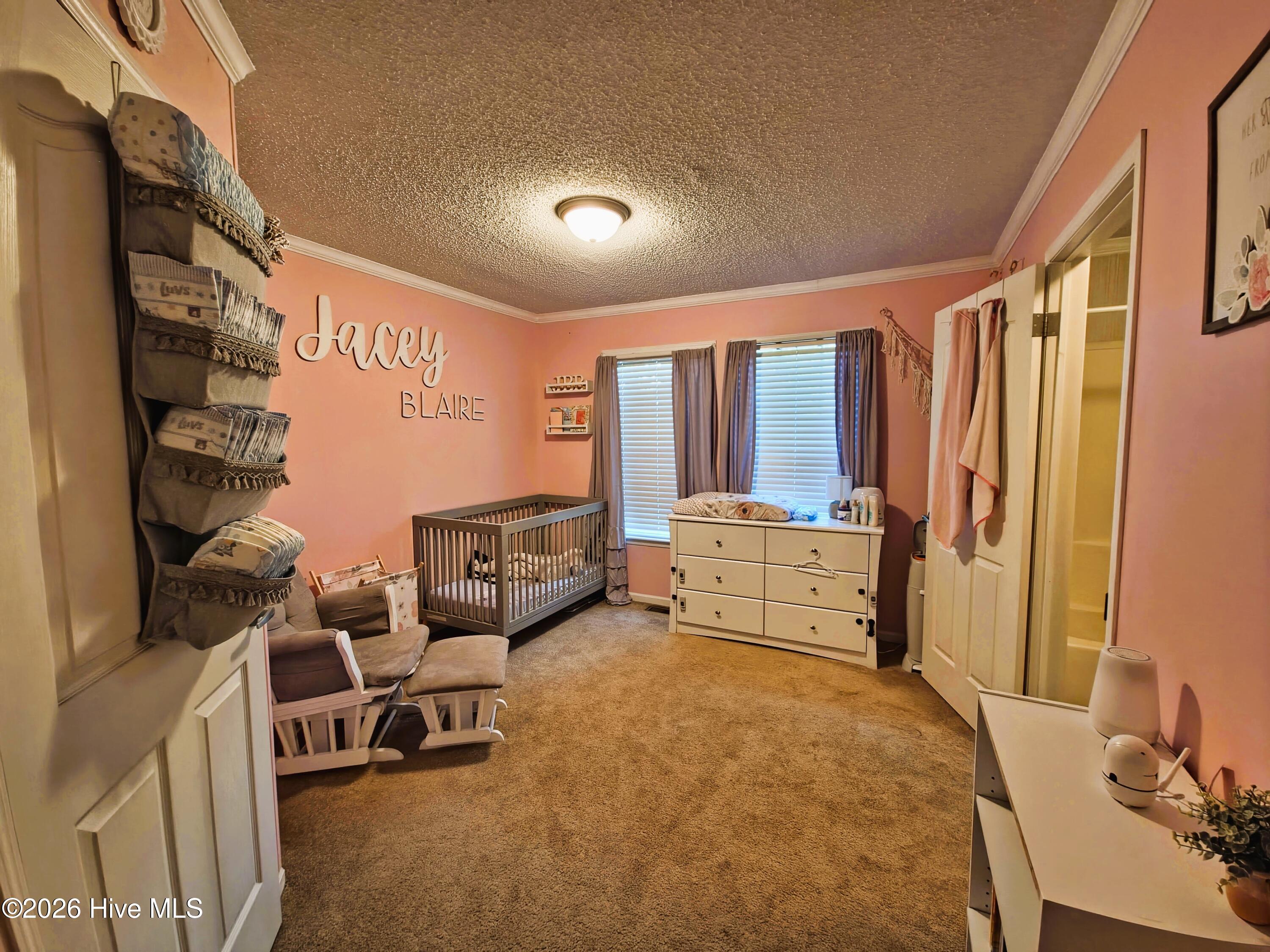3525 Daughety White Road Kinston, NC 28501 - Photo 19 of 31 Bedroom 2 with Bathroom Entry