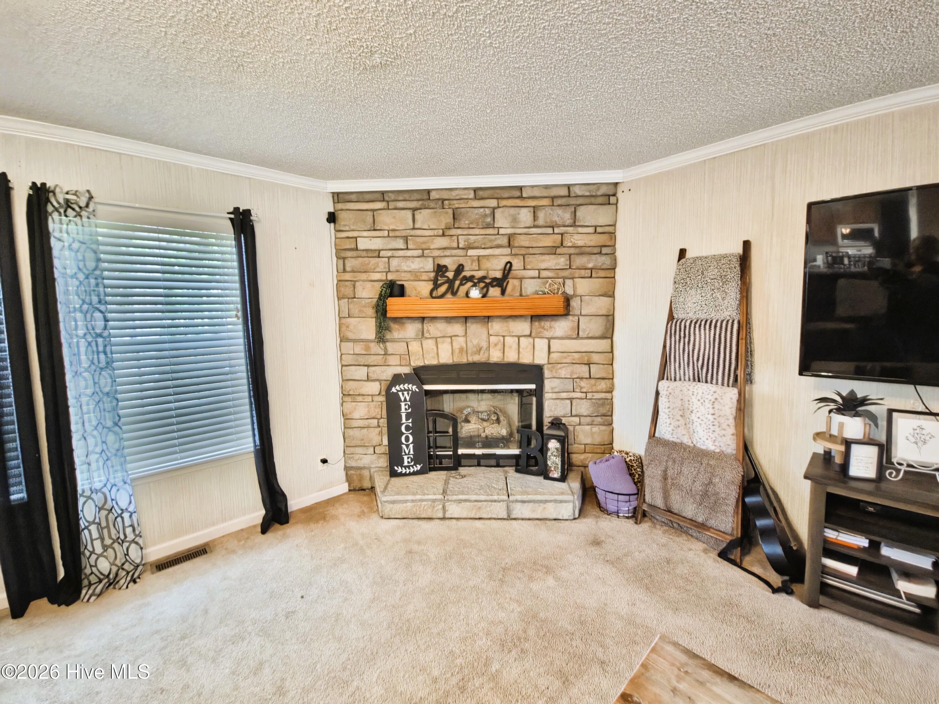 3525 Daughety White Road Kinston, NC 28501 - Photo 6 of 31 Warm Up the Hearth