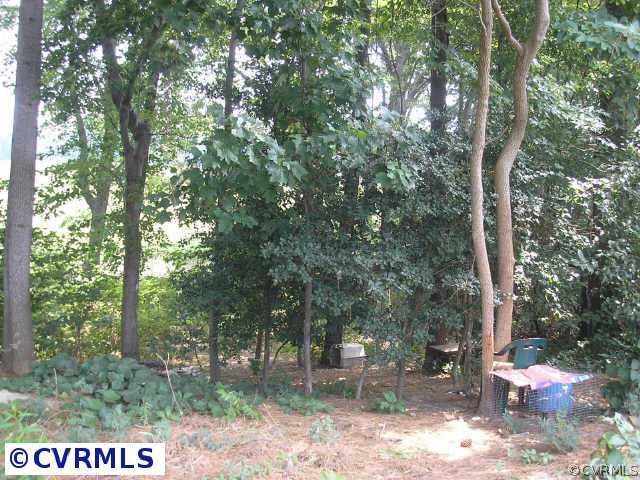 317 Holmes Town Road St. Stephens Church, VA 23148 - Photo 3 of 7 Other - Woods on side of house