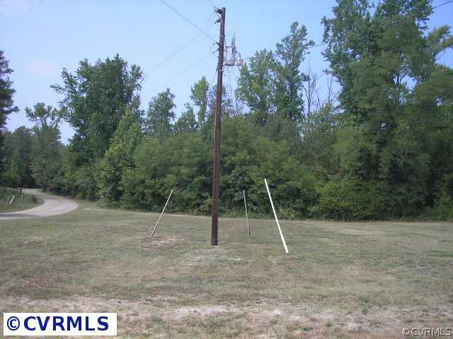 317 Holmes Town Road St. Stephens Church, VA 23148 - Photo 5 of 7 Other - Side Yard