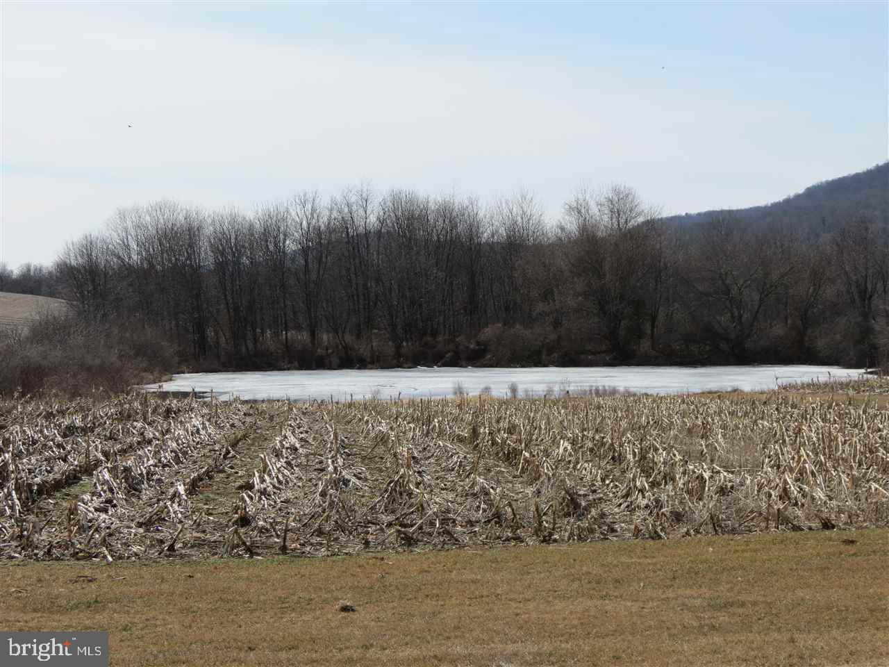 1150 Manada Gap Road Grantville, PA 17028 - Photo 24 of 25 Gallery Image 24