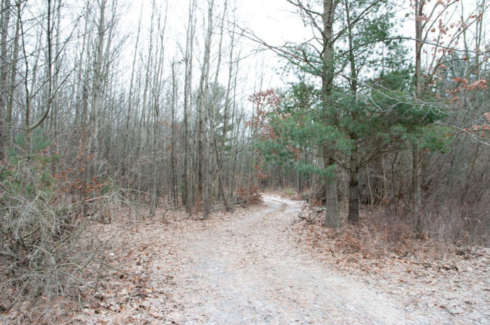 Backus Road Lakeview, MI 48850 - Photo 11 of 20 IMGP0002