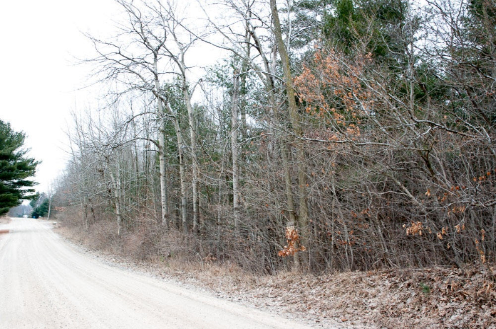 Backus Road Lakeview, MI 48850 - Photo 20 of 20 IMGP0022