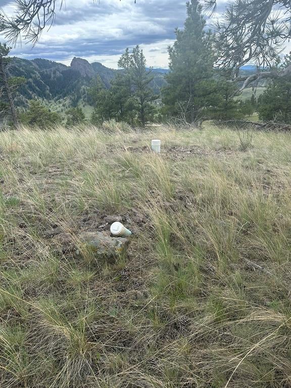 153 Cooper Drive Cascade, MT 59421 - Photo 15 of 21 Gallery Image 15