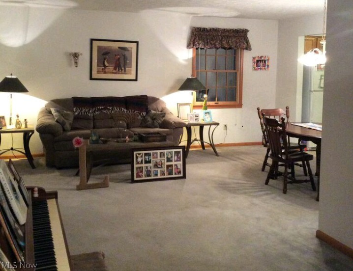 9240 Island Road North Ridgeville, OH 44039 - Photo 4 of 12 Gallery Image 4