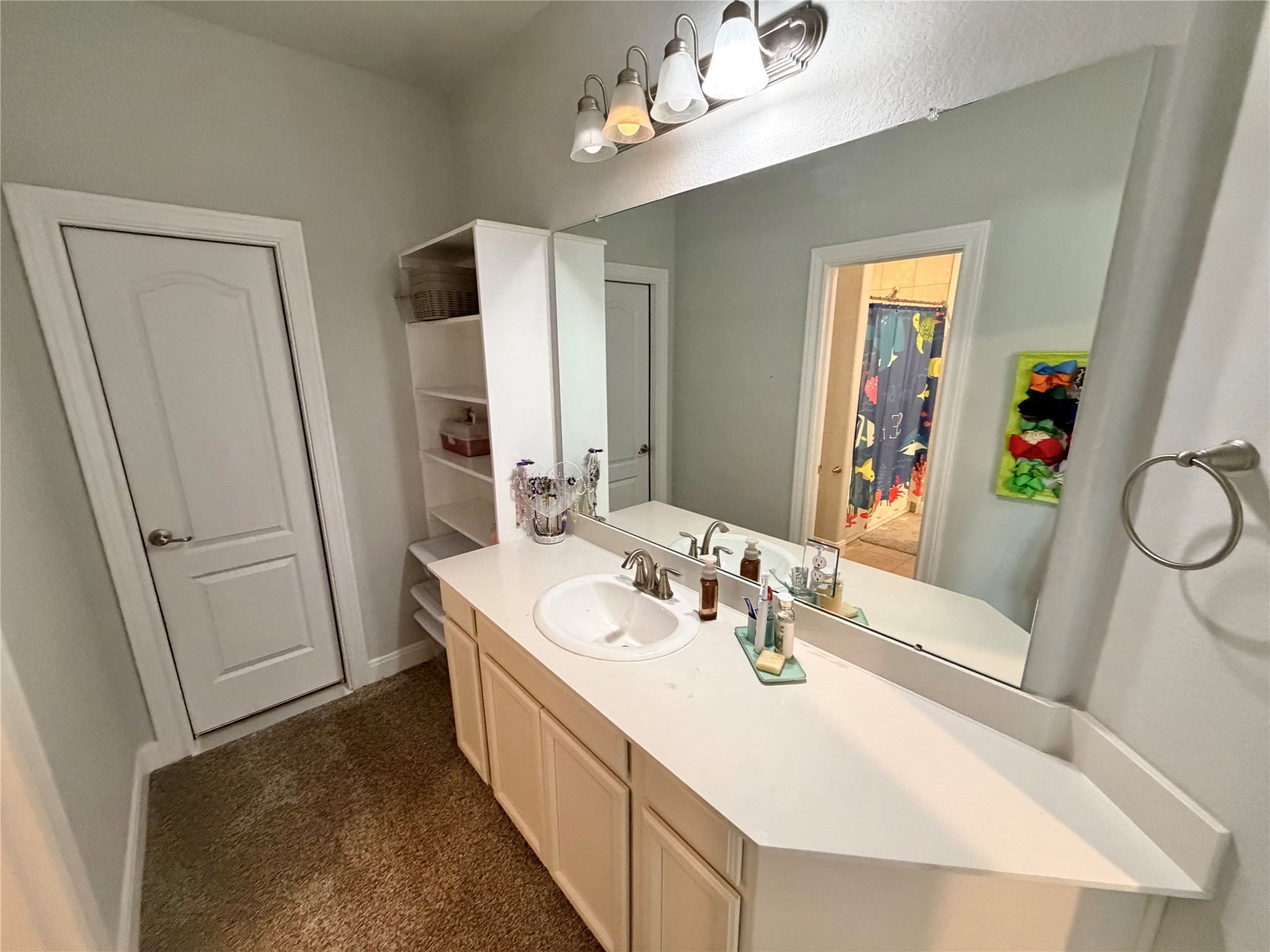 1217 Laurel Loop Angleton, TX 77515 - Photo 38 of 50