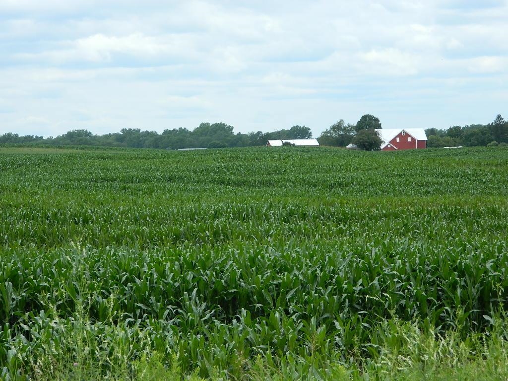5800 South Coldwater Road Remus, MI 49340 - Photo 2 of 5 1913340-1.JPG
