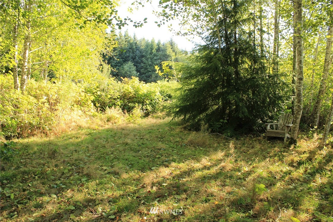 766 3 Rivers Road Forks, WA 98331 - Photo 1 of 24 Gallery Image 1