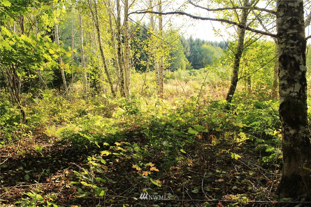 766 3 Rivers Road Forks, WA 98331 - Photo 14 of 24 Gallery Image 14