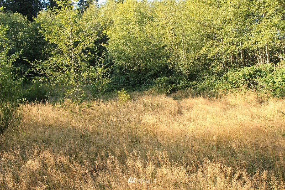 766 3 Rivers Road Forks, WA 98331 - Photo 20 of 24 Gallery Image 20