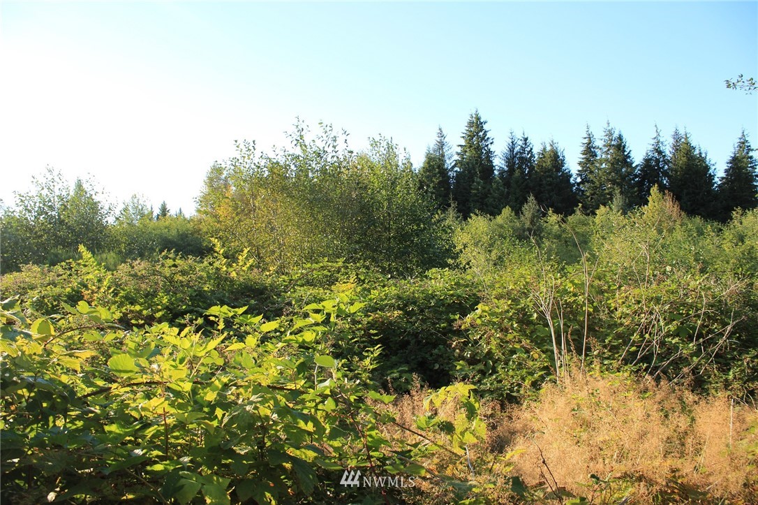 766 3 Rivers Road Forks, WA 98331 - Photo 21 of 24 Gallery Image 21