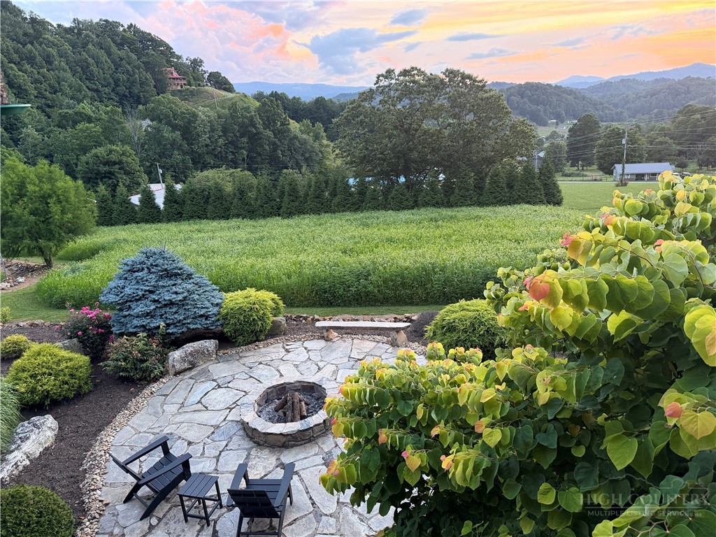 179 Adams Road Vilas, NC 28692 - Photo 2 of 50 a view of a garden with plants and large trees