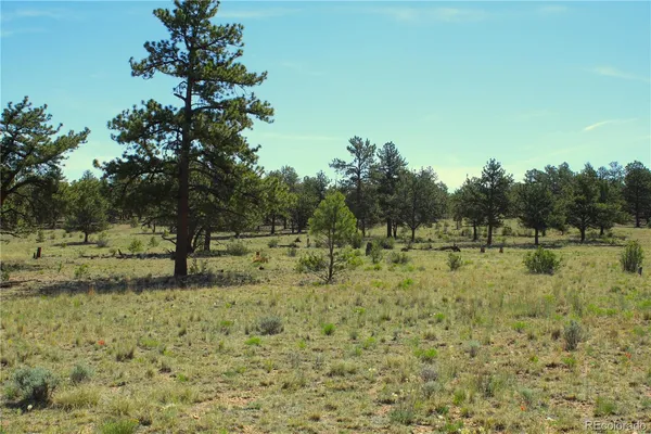 $949,000 | 31572 Highway 9, Fairplay, CO 80440
