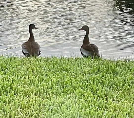 $465,000 | 10114 Highland Park Place, Palmetto, FL 34221