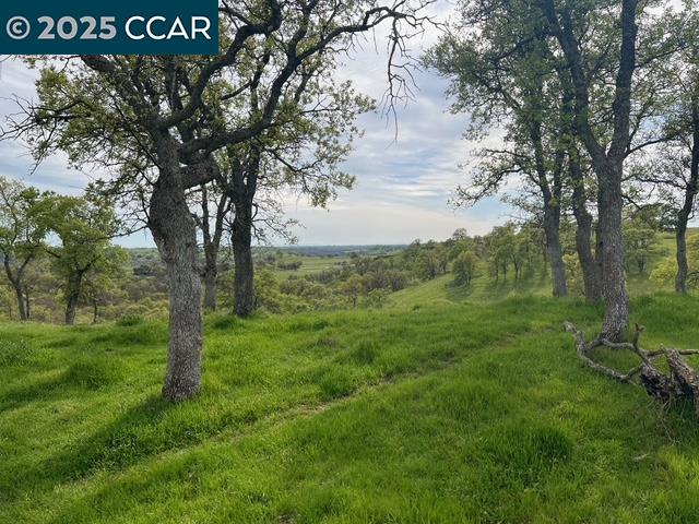 2 Frenchbar Road Waterford, CA 95386 - Photo 4 of 8 a view of a field with a tree
