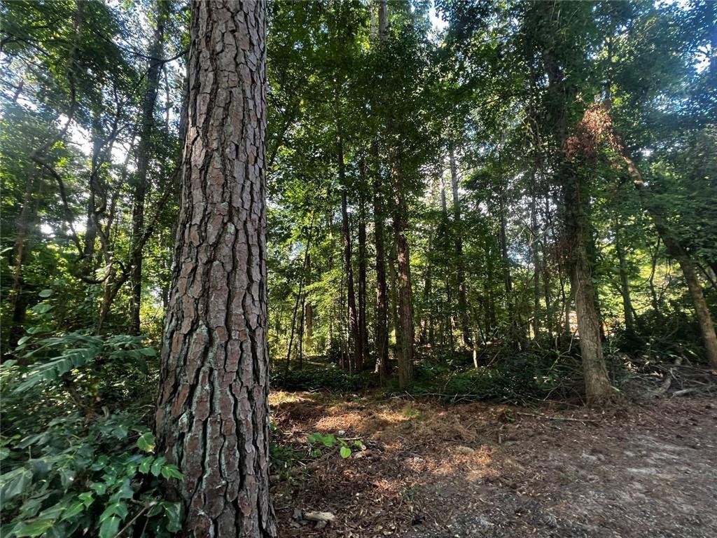 4074 Panola Road Stonecrest, GA 30038 - Photo 2 of 6 a view of outdoor space and yard