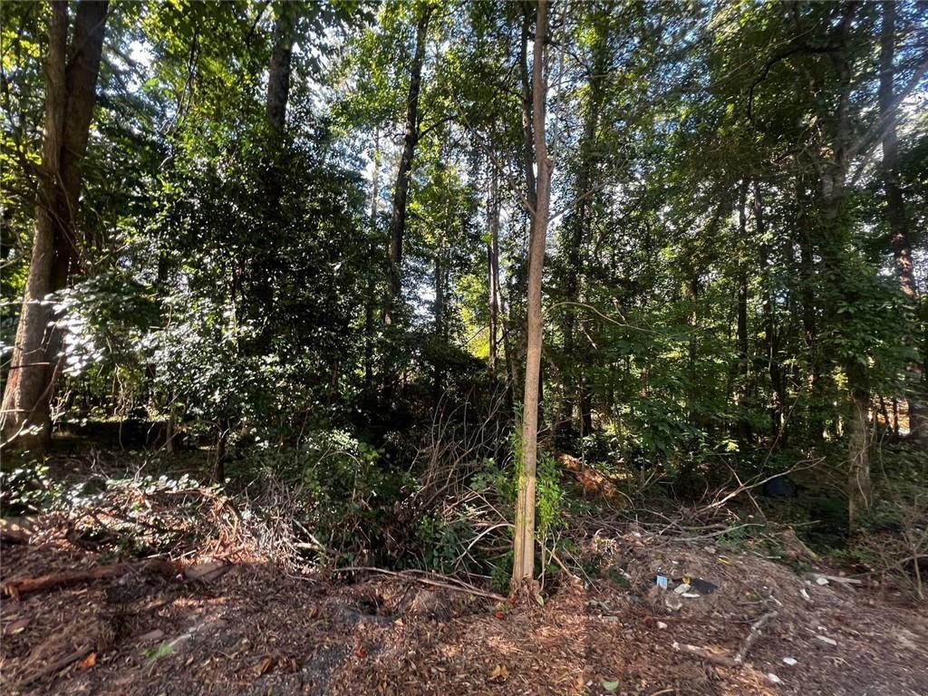 4074 Panola Road Stonecrest, GA 30038 - Photo 4 of 6 a view of a forest