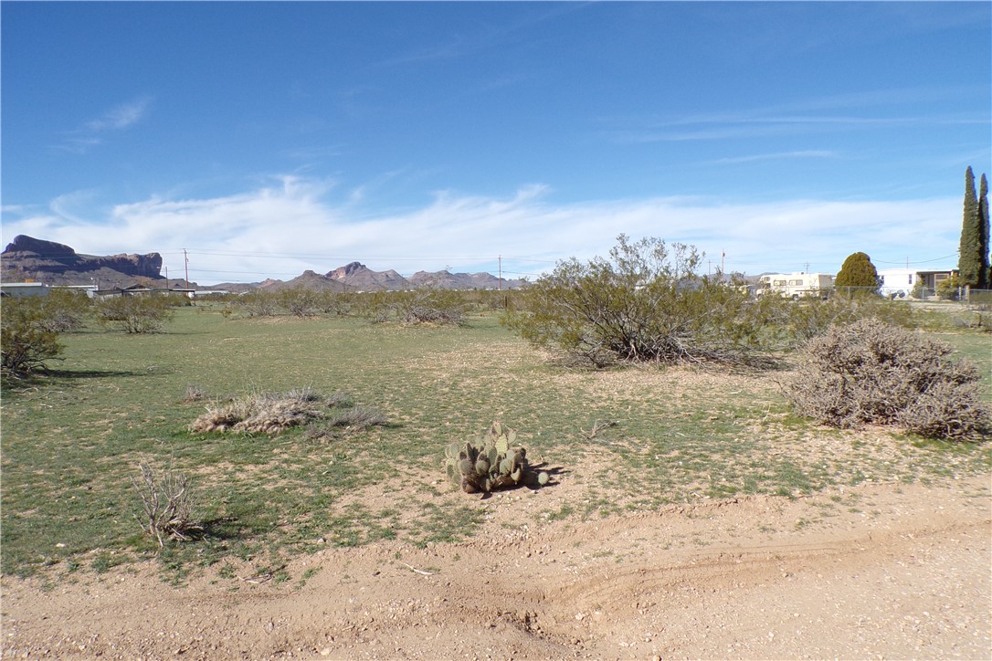 2289 South Canelo Road Golden Valley, AZ 86413 - Photo 24 of 54 View of yard featuring a mountain view
