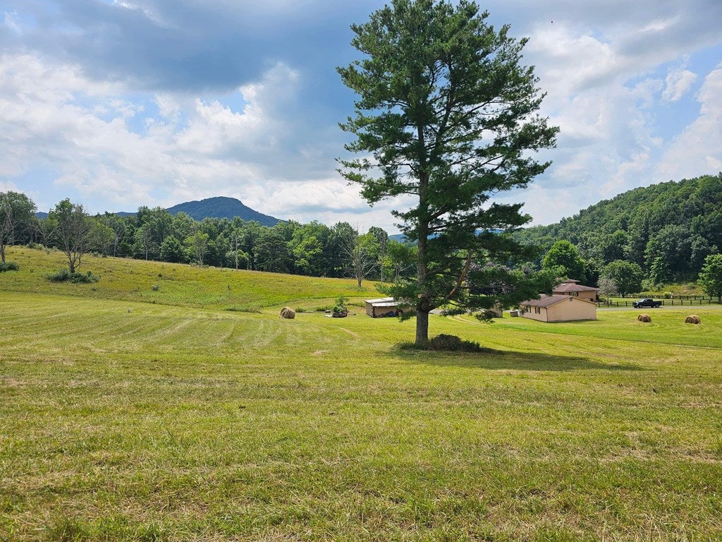 214 Rabbit Street Cedar Bluff, VA 24609 - Photo 52 of 63 Gallery Image 52