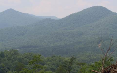20 Fodder Creek Road Hiawassee, GA 30546 - Photo 1 of 1 Main View