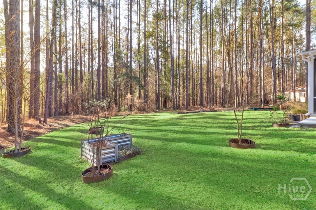 475 Shadowbrook Circle Springfield, GA 31329 - Photo 29 of 29 Gallery Image 29